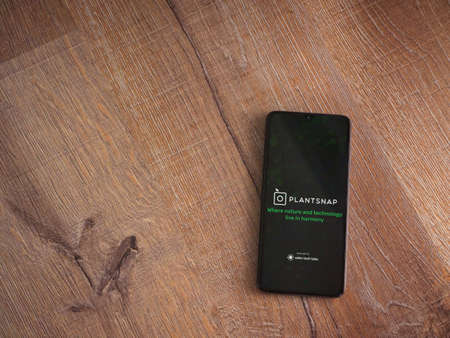 Lod, Israel - July 8, 2020: PlantSnap app launch screen with logo on the display of a black mobile smartphone on wooden background. Top view flat lay with copy space.のeditorial素材
