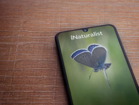 Lod, Israel - July 8, 2020: iNaturalist app launch screen with logo on the display of a black mobile smartphone on wooden background. Top view flat lay with copy space.のeditorial素材