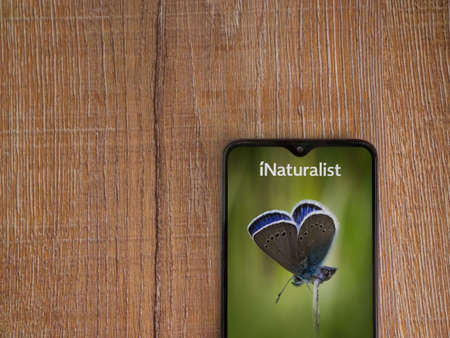 Lod, Israel - July 8, 2020: iNaturalist app launch screen with logo on the display of a black mobile smartphone on wooden background. Top view flat lay with copy space.のeditorial素材