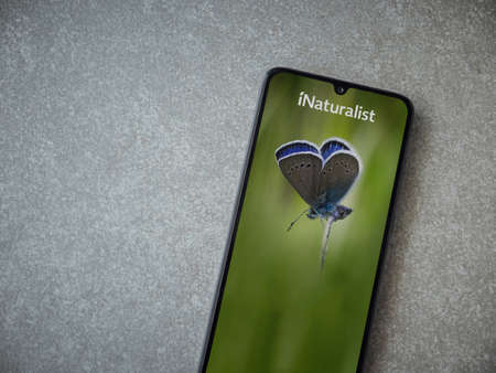 Lod, Israel - July 8, 2020: iNaturalist app launch screen with logo on the display of a black mobile smartphone on ceramic stone background. Top view flat lay with copy space.のeditorial素材