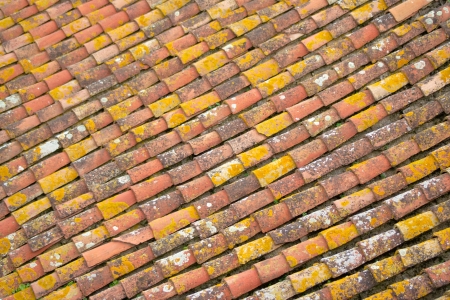 alignement of tiles on a roofの写真素材