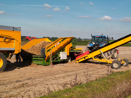 Pepingen, Belgium - September 29, 2015: Farmers harvest potatoes. They are using modern machinery to...