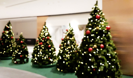 Bokeh Christmas trees on holidaysの写真素材