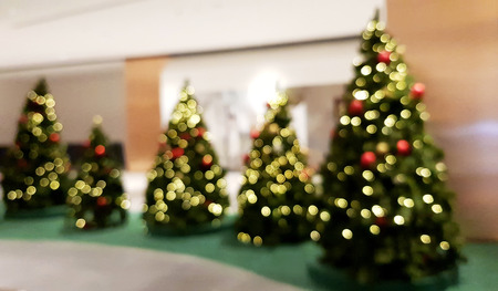 Bokeh Christmas trees on holidaysの写真素材