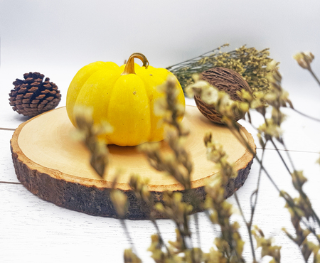 Festive season autumn yellow pumpkin for thanksgiving Backgroundの写真素材