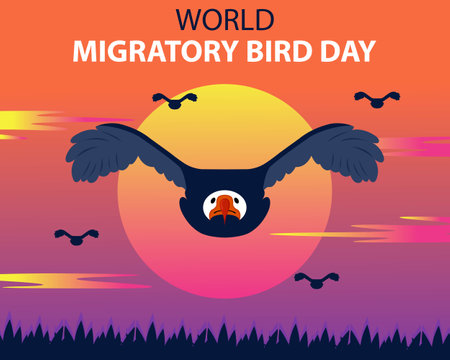illustration vector graphic of Eagles migrate in groups in the afternoon, showing sunrise, perfect for international day, world migratory bird day, celebrate, greeting card, etc.のイラスト素材