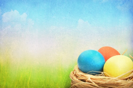 Grunge easter background. Easter eggs in nest on meadow.
