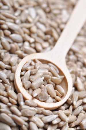 Seeds of sunflower on a spoonの写真素材