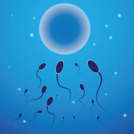 vector illustration of sperm and egg cell のイラスト素材