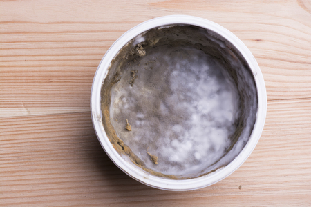 Closeup of mould growing on a food.の写真素材