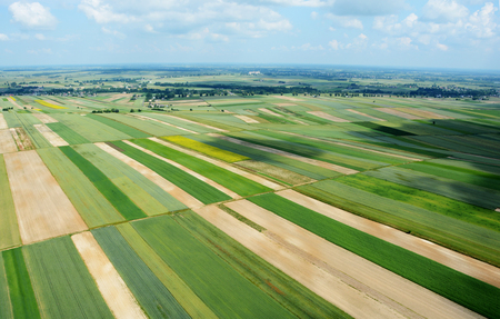 Aerial view of the countryside with village and fields of crops in summerの写真素材