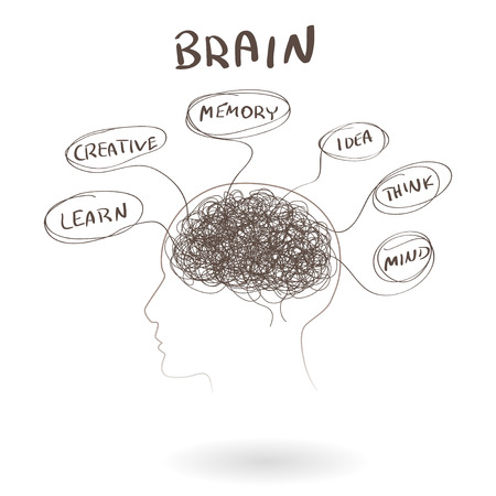 Brain, a thinking human concept. illustrationのイラスト素材