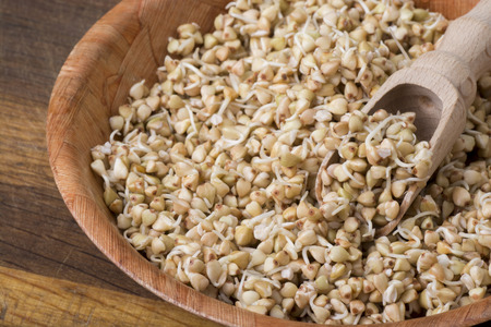 Sprouts of buckwheat groats in a bowl, rustic styleの写真素材