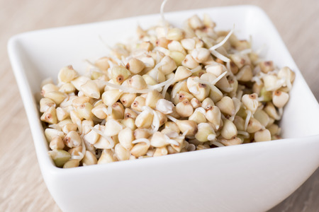 Sprouts of buckwheat groats in a bowlの写真素材