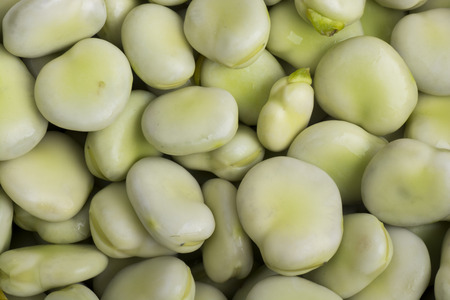 Broad beans as a backgroundの写真素材