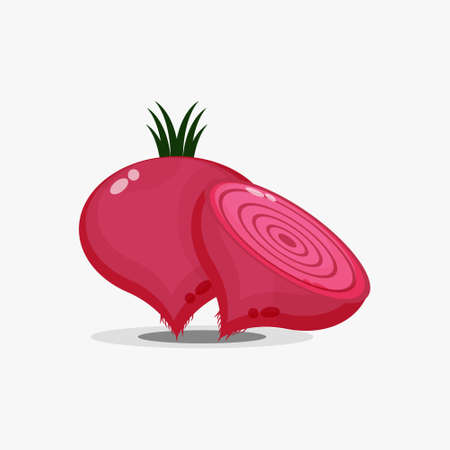 Beetroot and beetroot slicesのイラスト素材