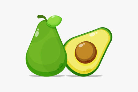 Avocado and avocado slicesのイラスト素材