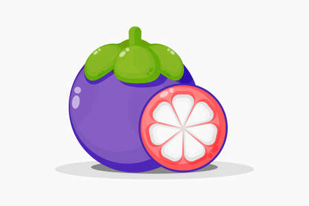 Mangosteen and mangosteen fruit slicesのイラスト素材