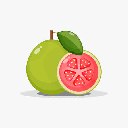 Guava and guava slicesのイラスト素材