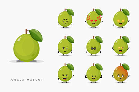 Set of cute mascot guavaのイラスト素材