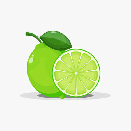 Lime and lime slicesのイラスト素材