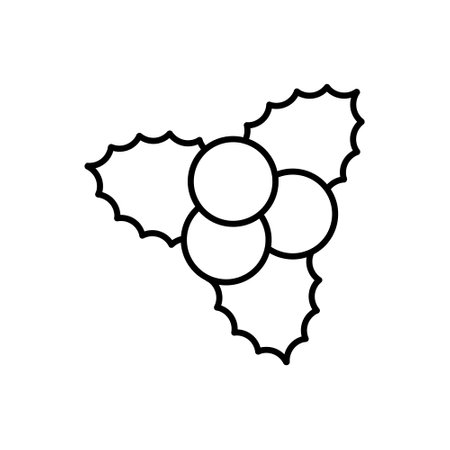 Mistletoe icon outline style design vectorのイラスト素材