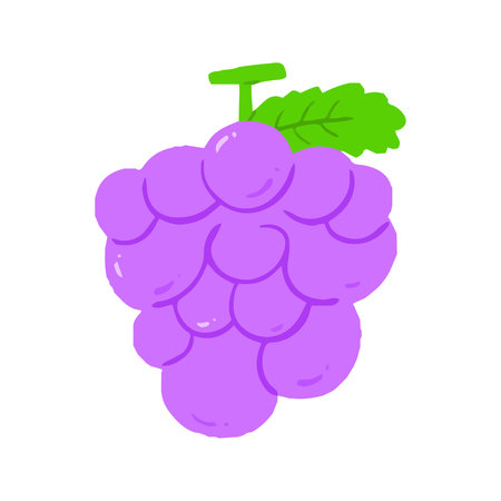 Hand-Drawn Purple Grape Bunch Illustration, Minimalist Fruit Clipart with Leafの写真素材