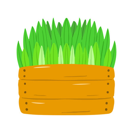 Cute Cartoon Grass or Wheat Growing in a Wooden Crate Box Illustrationの写真素材