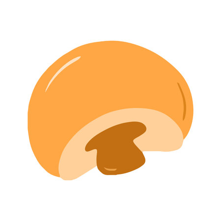 Cut in Half Hand Drawn Illustrationの写真素材