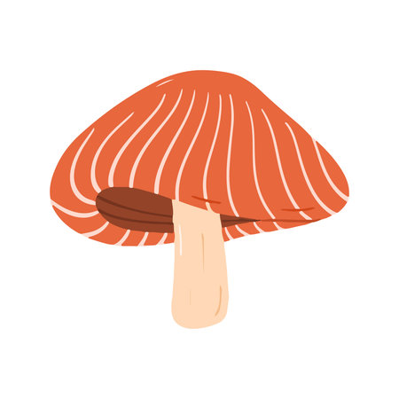 Hand Drawn Striped Orange Mushroom Illustrationの写真素材