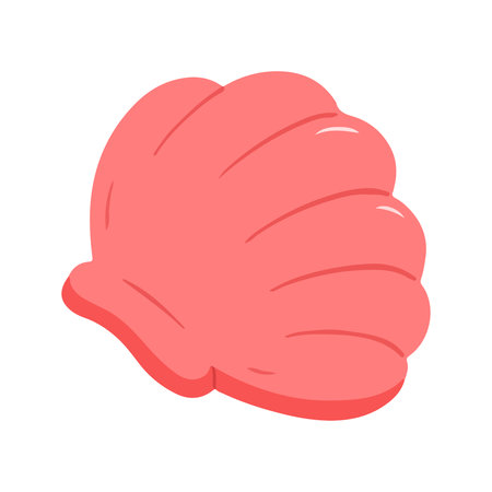Pink Scallop Seashell Ocean Illustrationの写真素材