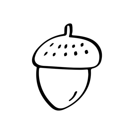 Hand drawn acorn nut illustration doodleのイラスト素材