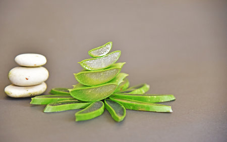 Aloe vera sliced isolated in gary backgroundの写真素材