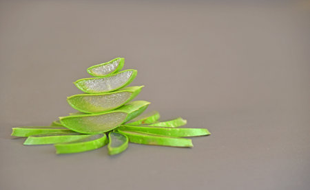 Aloe vera sliced isolated in gary backgroundの写真素材