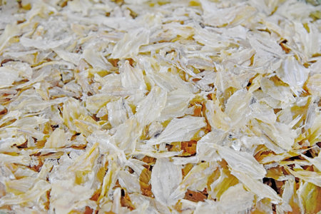 Dry salty fish selling on the traditional marketの写真素材