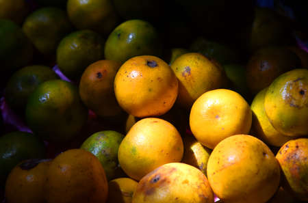 Orange mandarins fruit with some yellow and green skin color on the shade
