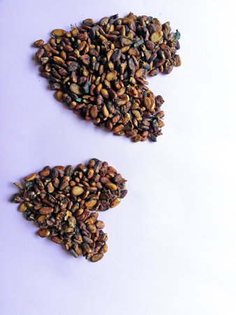 Cacao beans in heart or love form isolated on color backgroundの写真素材