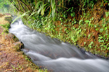 Small river in the forest with smooth clear water