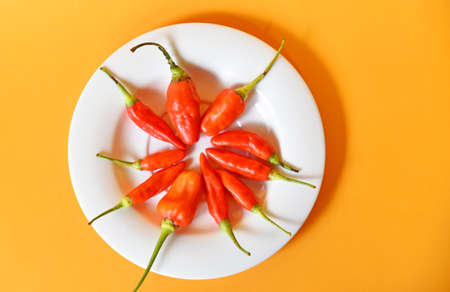 Red chilli pepper isolated on yellow background