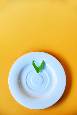 Empty small white plate with green garnish on color background
