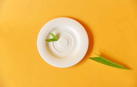 Empty small white plate with green garnish on color background