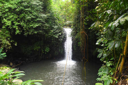 Small waterfall and serround at Babahan village in Tabanan regency of Bali Indonesia,with smooth...