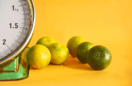 Scales in white and green color,with some orange fruit,isolated on yellow backgroundの写真素材