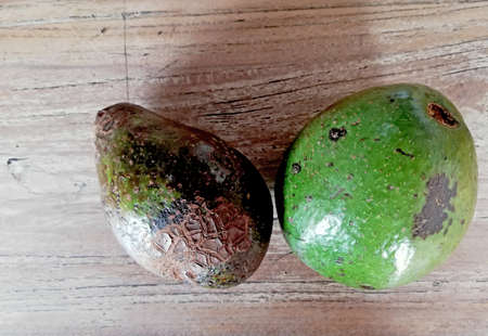 Avocado fruit in close up,placed on brown wooden background