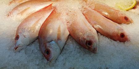 Fresh fish on ice at the market. Seafood and healthy eating concept