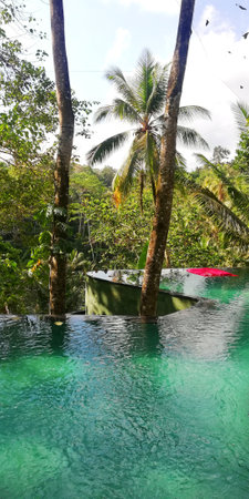 Beautiful swimming pool in the middle of the jungle
