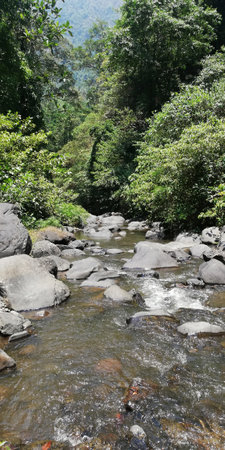 Sekumpul waterfall, at buleleng regency during day time