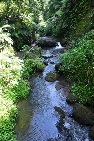 Goa Raja Waterfall, at Bangli regency of Bali, with beautiful green nature landscape surroundingsの写真素材