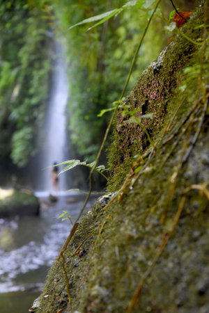 Tukad Cepung Waterfall, at Bangli regency of Bali, with beautiful green nature landscape surroundingsの写真素材