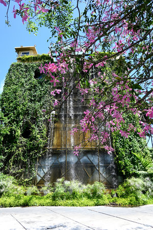 Water fountain in the park with pink flowers and green plants on the backgroundの写真素材